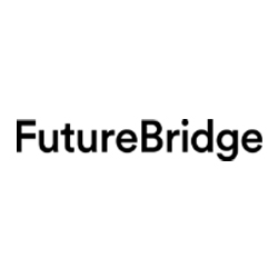 image of Future Bridge